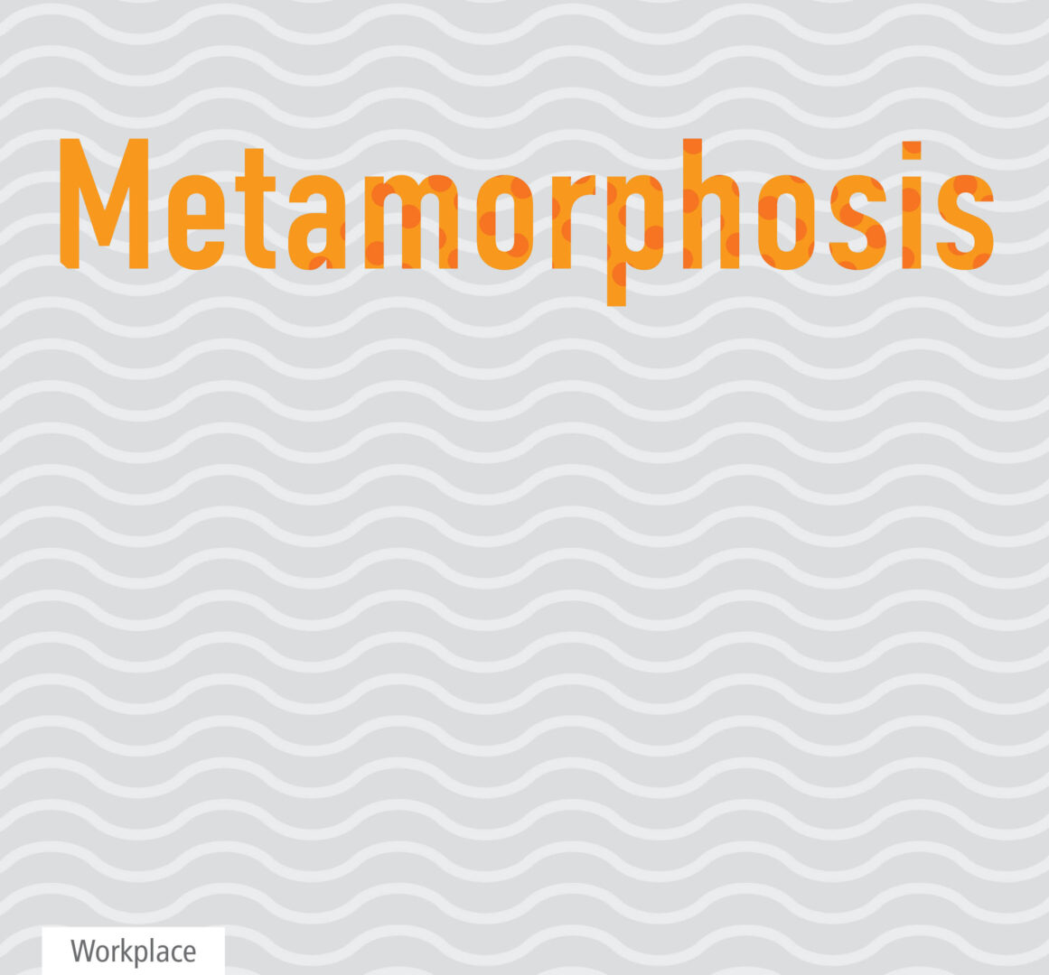 Metamorphosis – Amenta Emma Architects